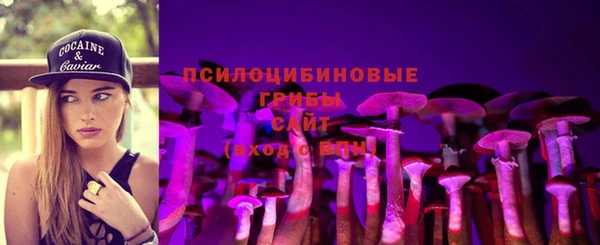 стаф Богородицк