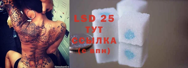 стаф Богородицк