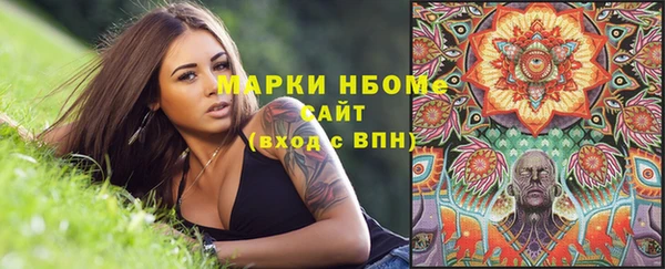 стаф Богородицк